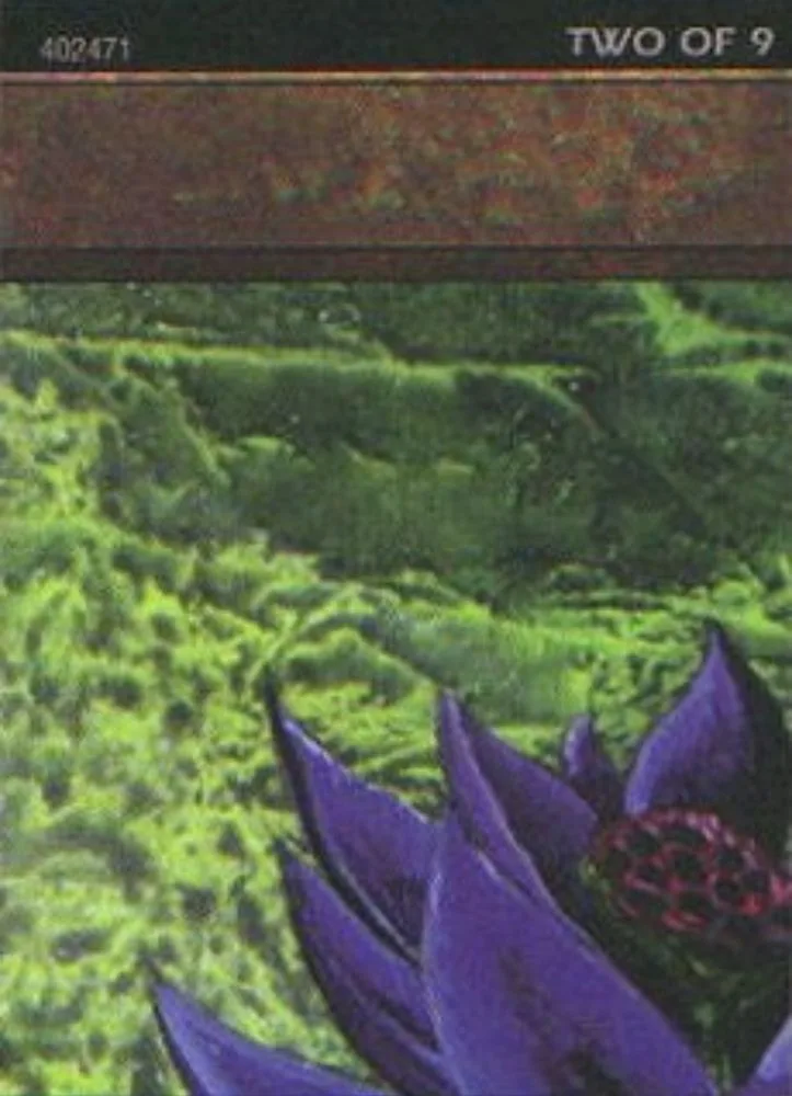 Black Lotus (Black Lotus · 2 of 9 · Ultra Pro Puzzle Quest)