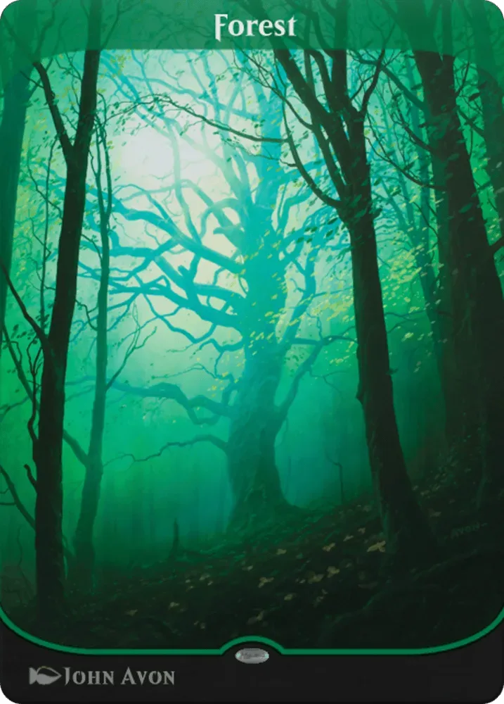 Forest