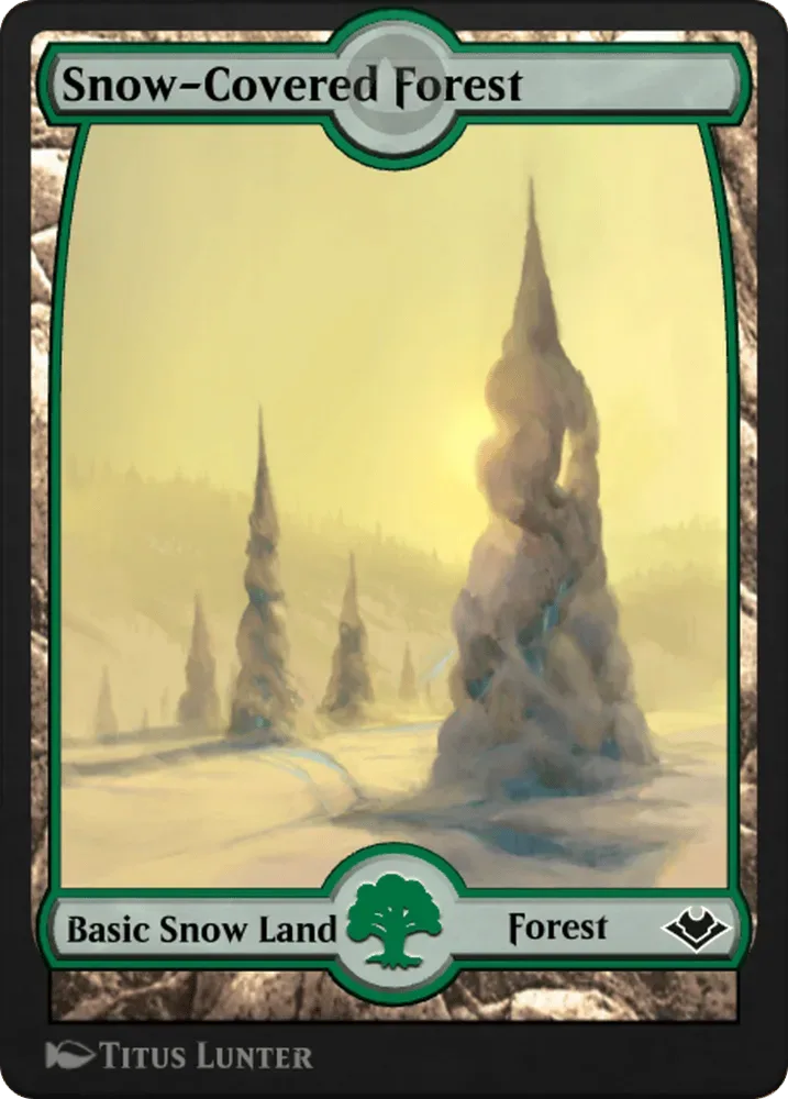 Snow-Covered Forest