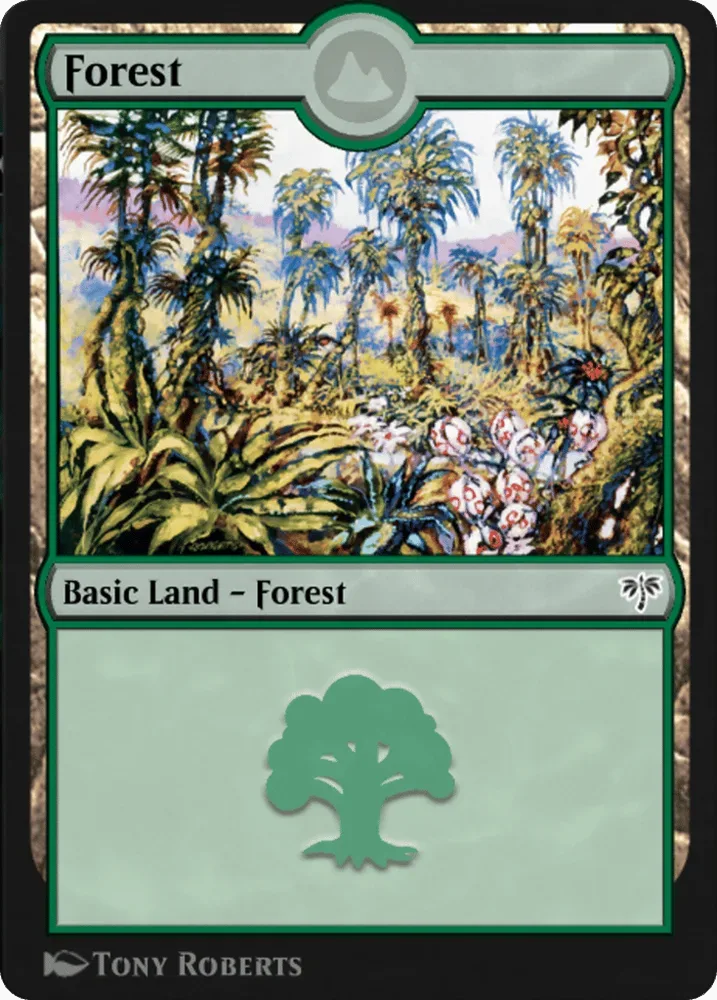 Forest