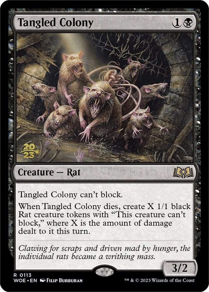 Tangled Colony (Tangled Colony)