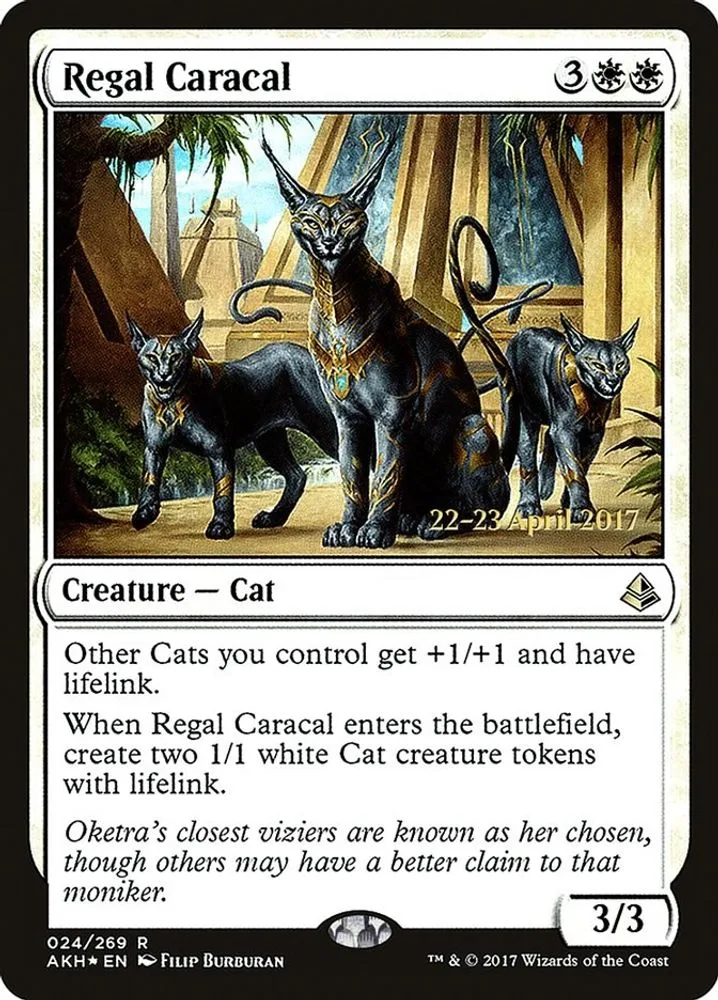 Regal Caracal (Regal Caracal)