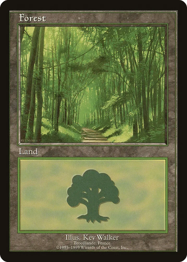 Forest