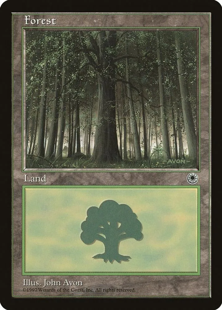 Forest (Large Middle)