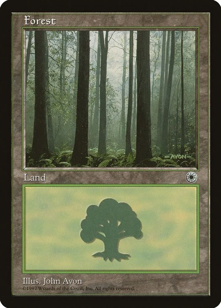 Forest (Ferns on Ground)