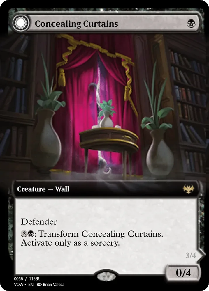 Concealing Curtains // Revealing Eye