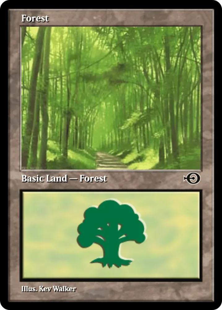 Forest
