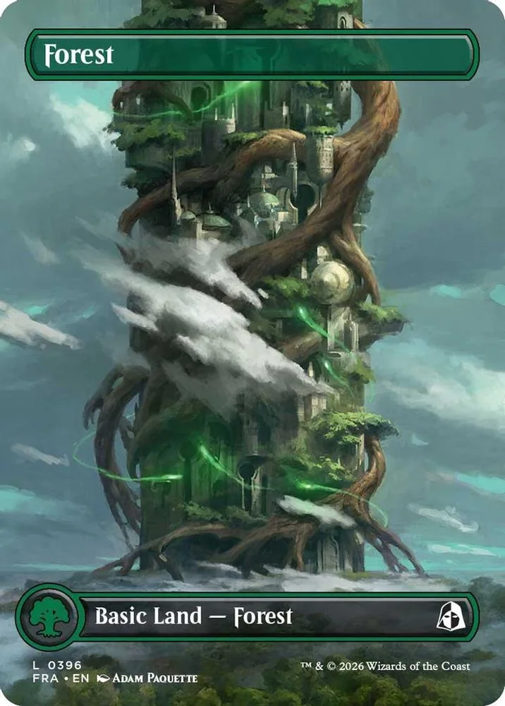 Forest (Borderless)