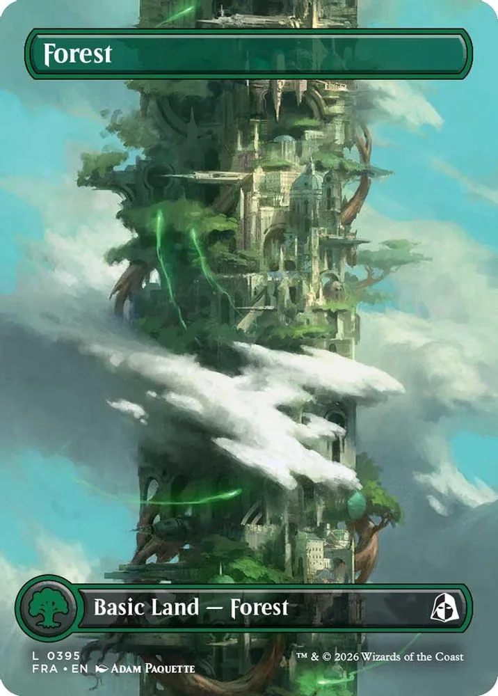 Forest (Borderless)