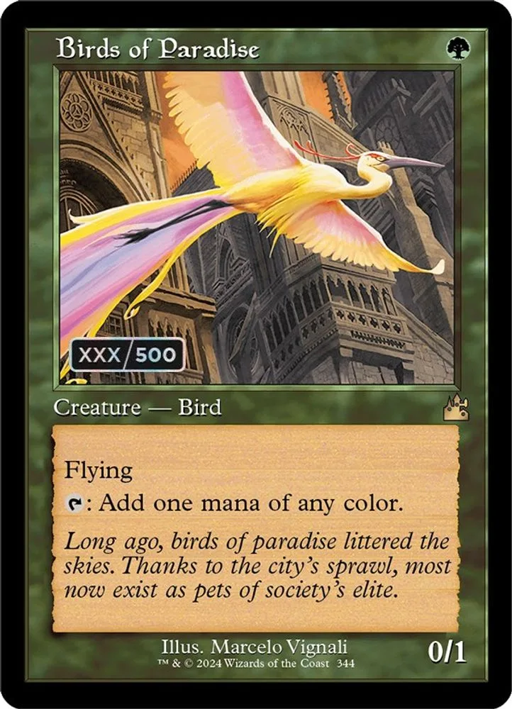 Birds of Paradise (Retro Frame · Serial Numbered)