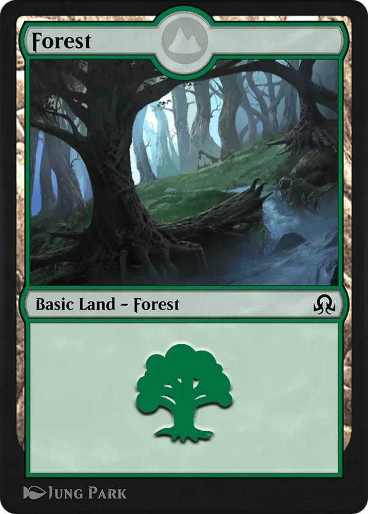 Forest