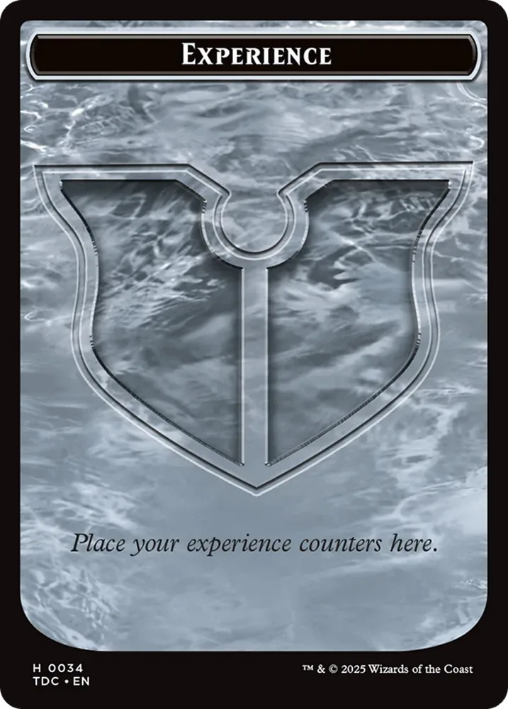 Experience