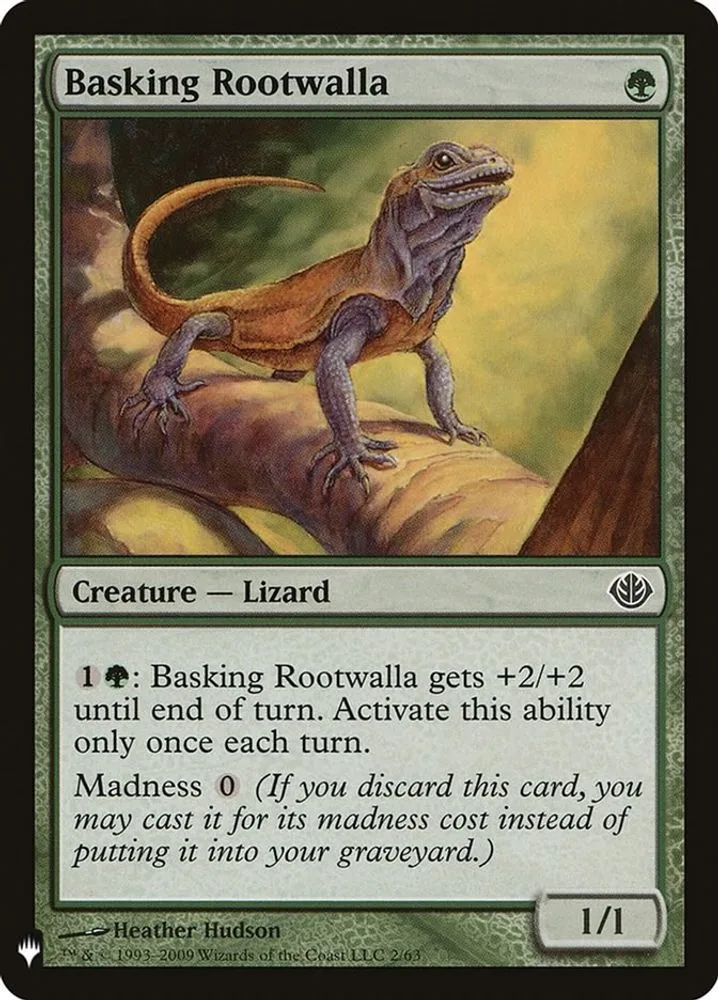 Basking Rootwalla (Basking Rootwalla)