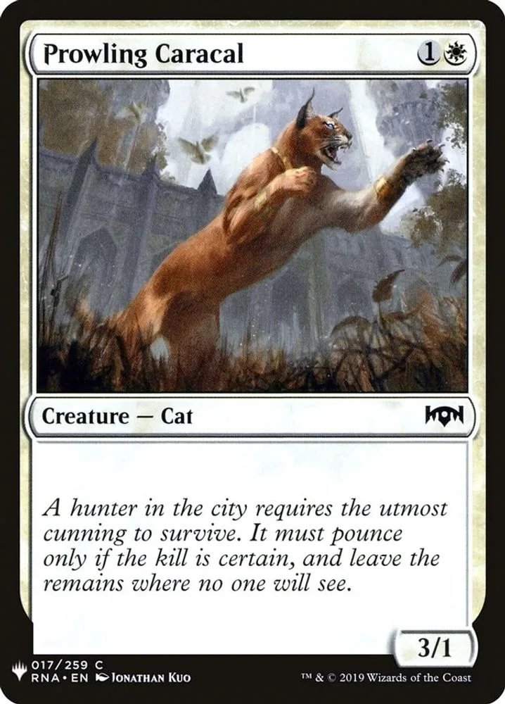 Prowling Caracal (Prowling Caracal)
