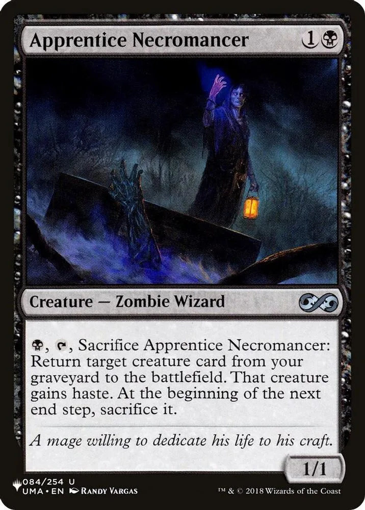 Apprentice Necromancer (Apprentice Necromancer)