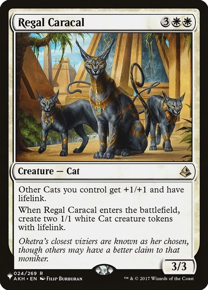 Regal Caracal (Regal Caracal)