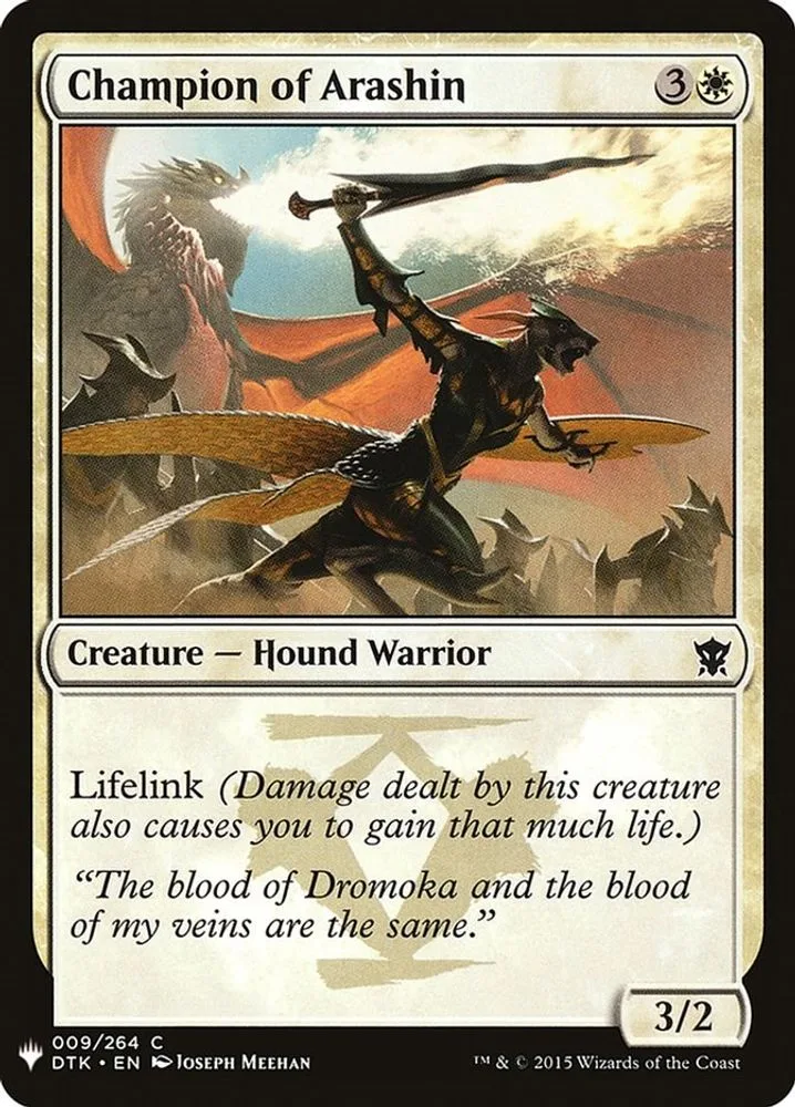 Champion of Arashin (Champion of Arashin)