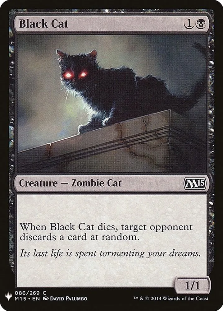 Black Cat (Black Cat)