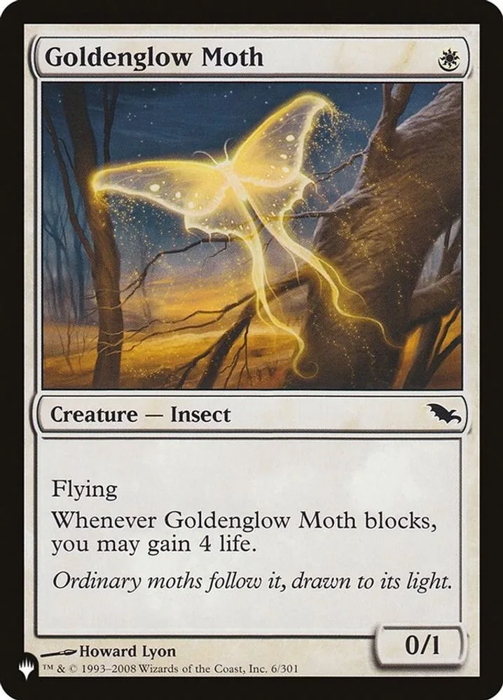 Goldenglow Moth (Goldenglow Moth)