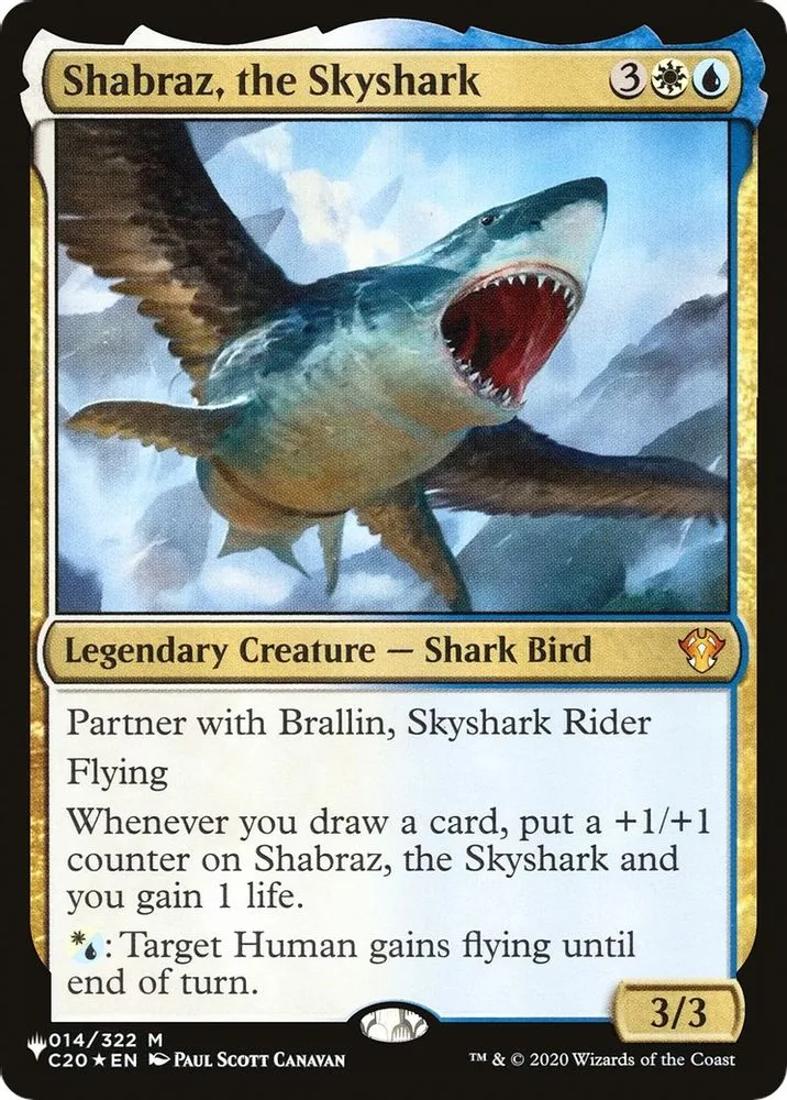 Shabraz, the Skyshark (Shabraz, the Skyshark)