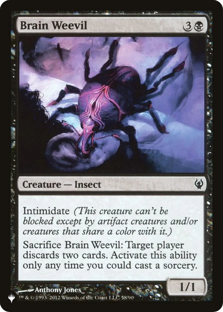 Brain Weevil (Brain Weevil)