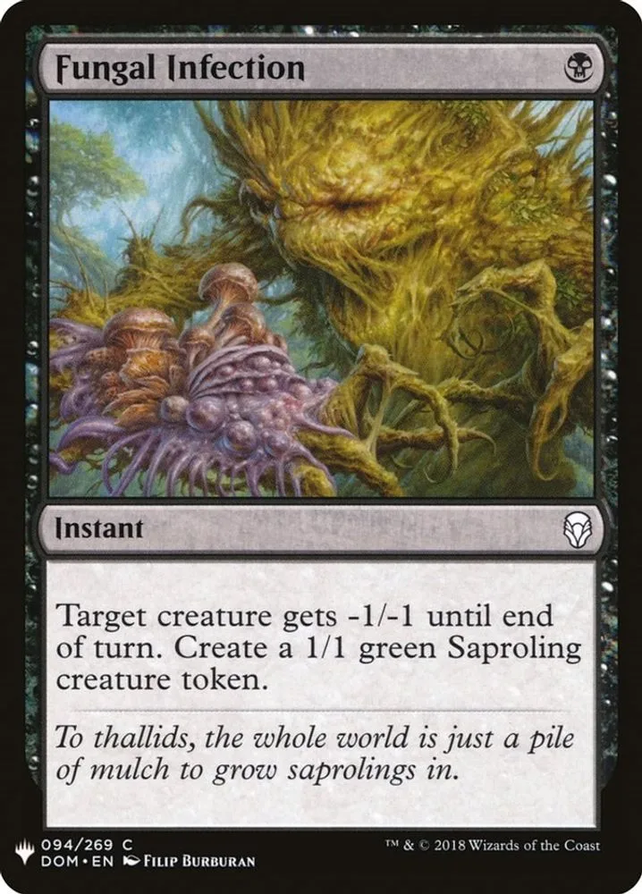Fungal Infection (Fungal Infection)