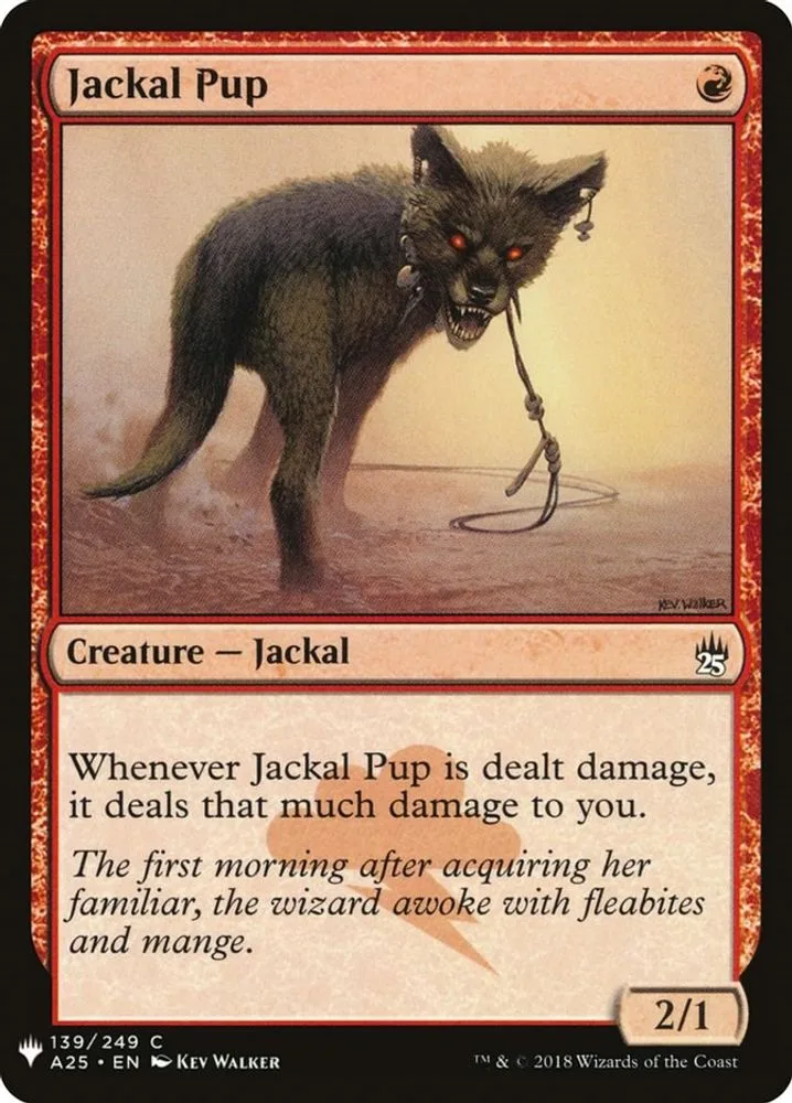 Jackal Pup (Jackal Pup)