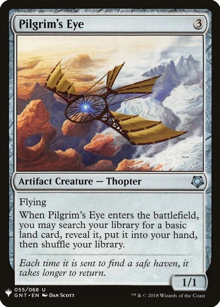 Pilgrim's Eye (Pilgrim's Eye)