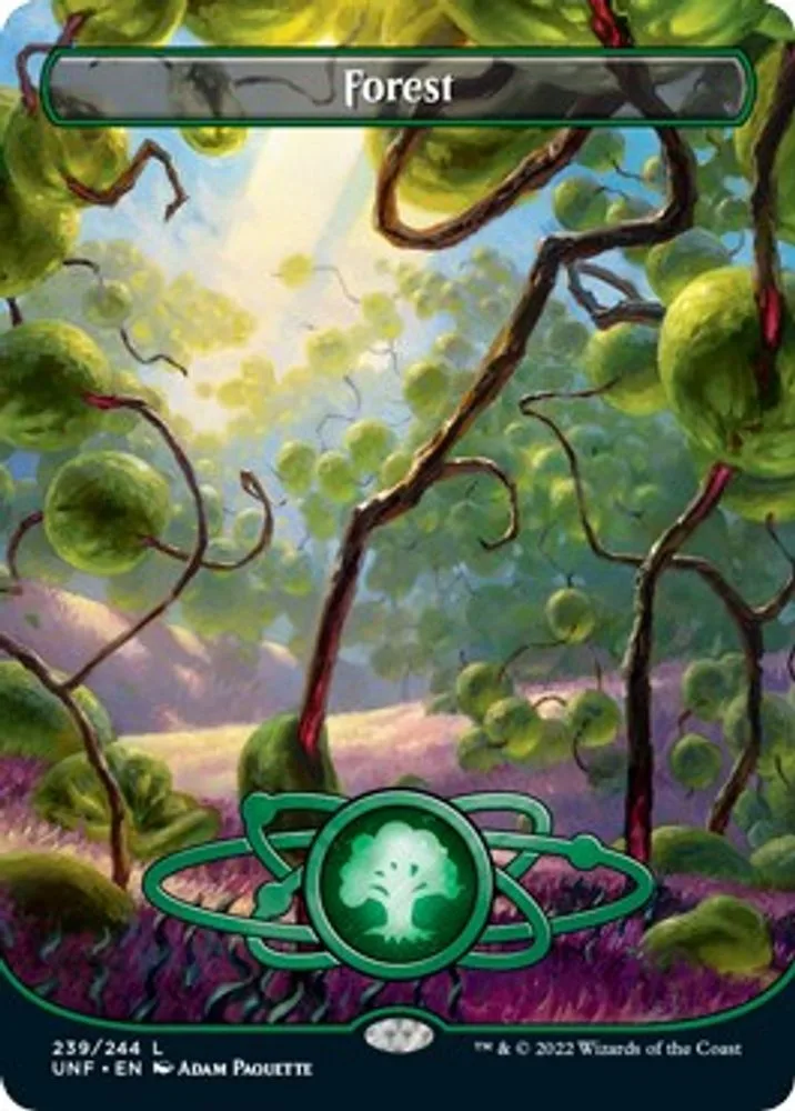 Forest (Borderless)