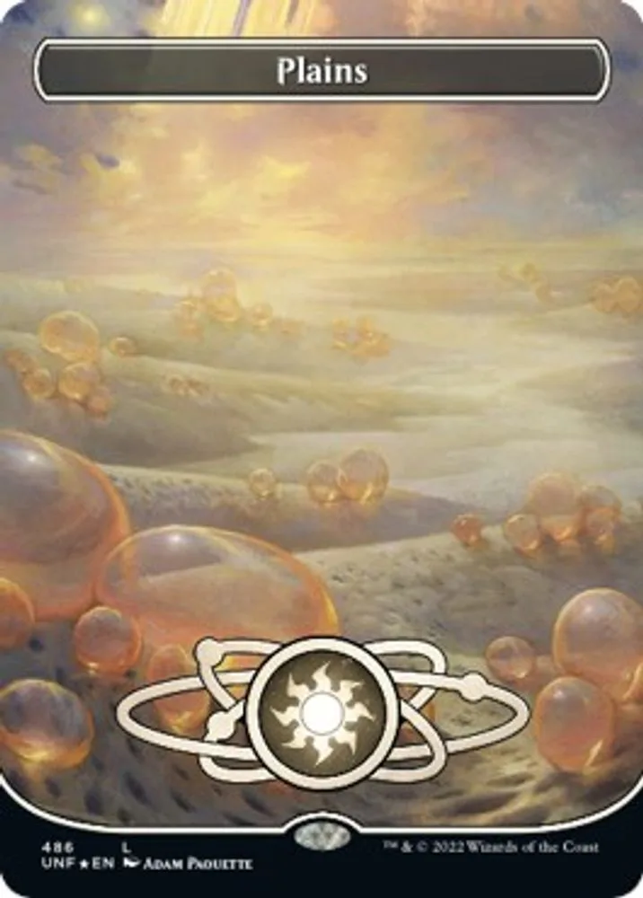 Plains (486) (Borderless) (Galaxy Foil)