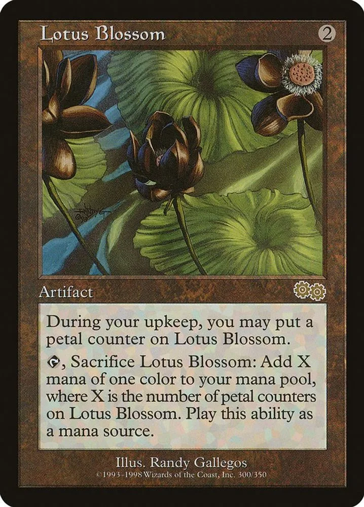 Lotus Blossom