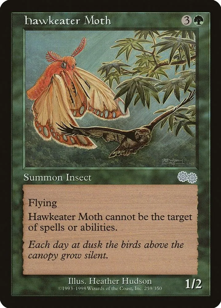 Hawkeater Moth