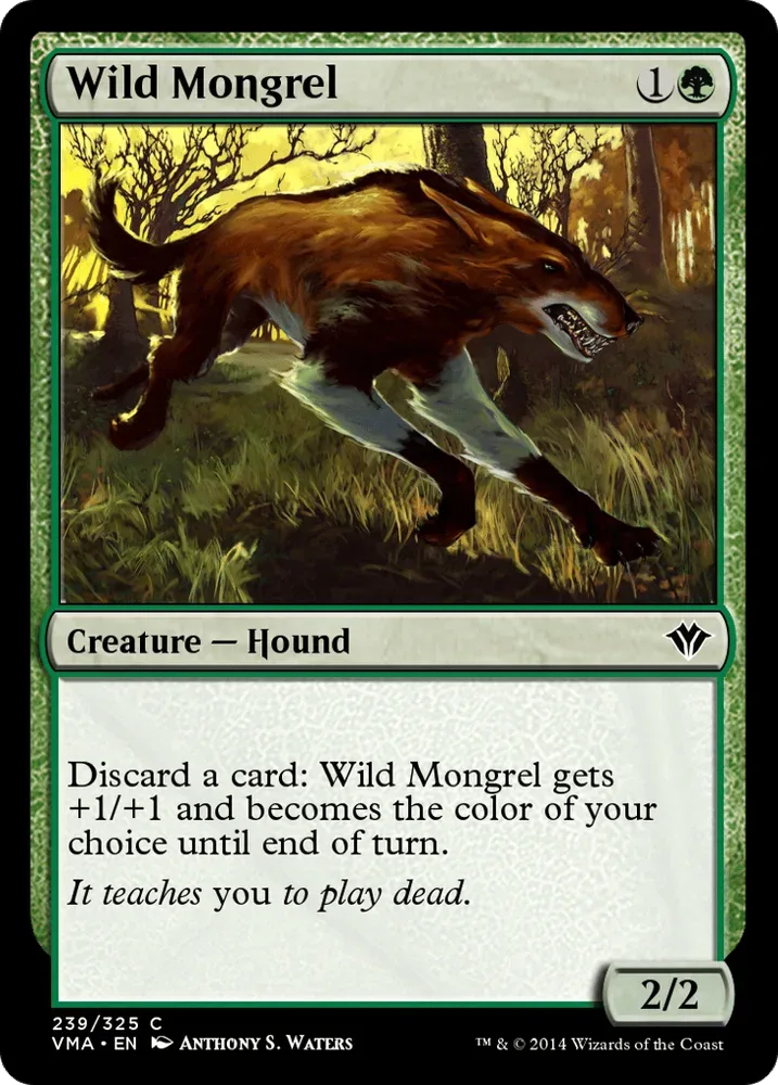 Wild Mongrel