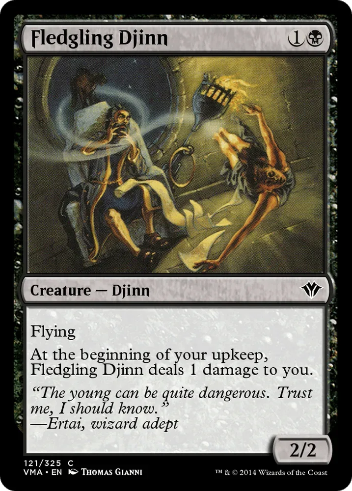 Fledgling Djinn