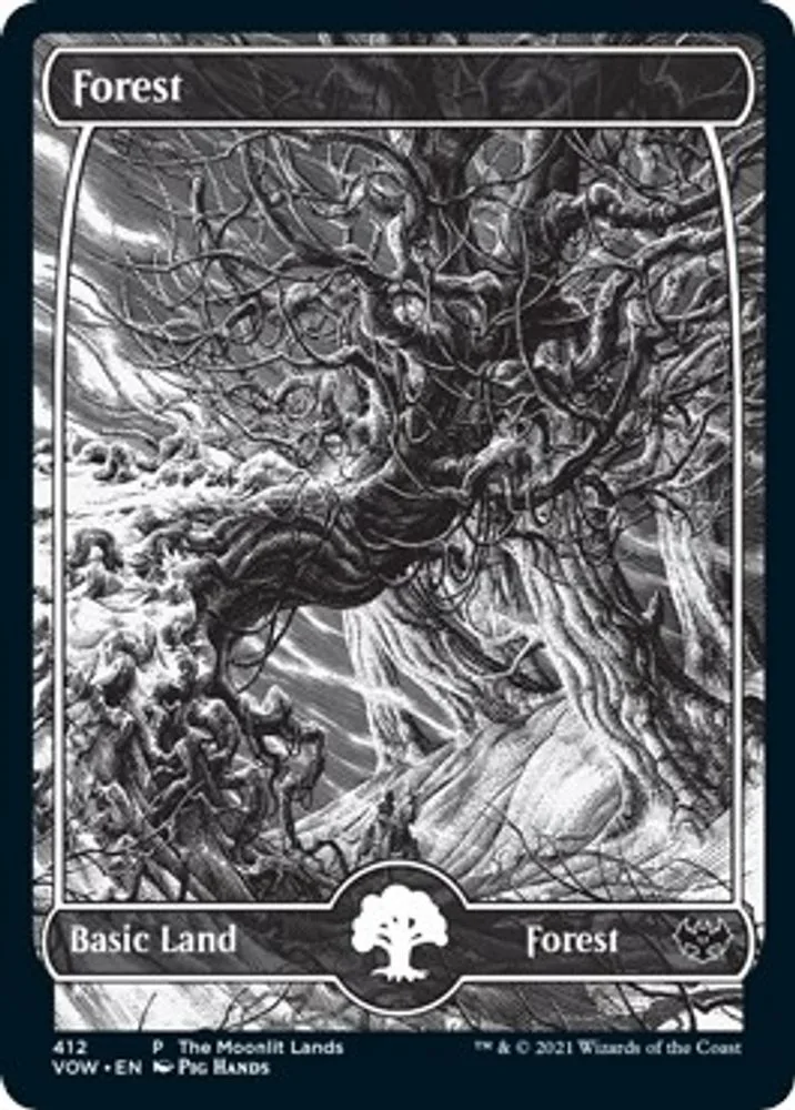 Forest (Moonlit Land) (Foil Etched)