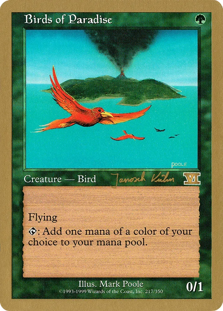 Birds of Paradise