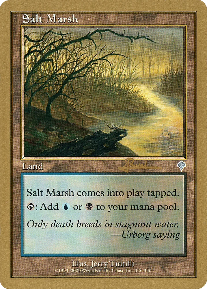 Salt Marsh