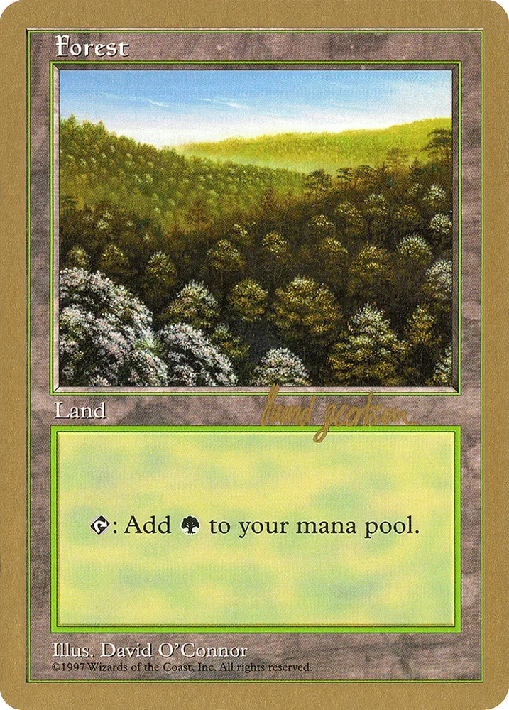 Forest