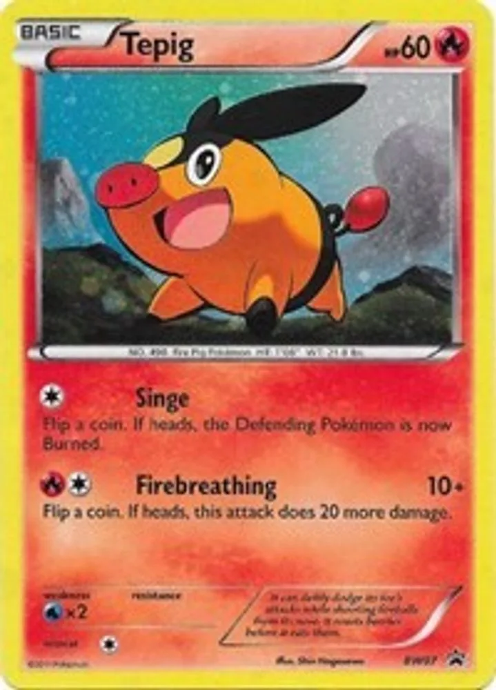 Tepig
