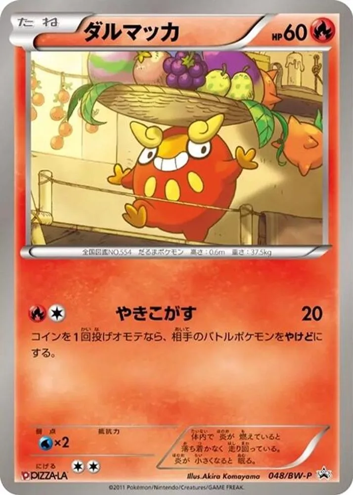Darumaka