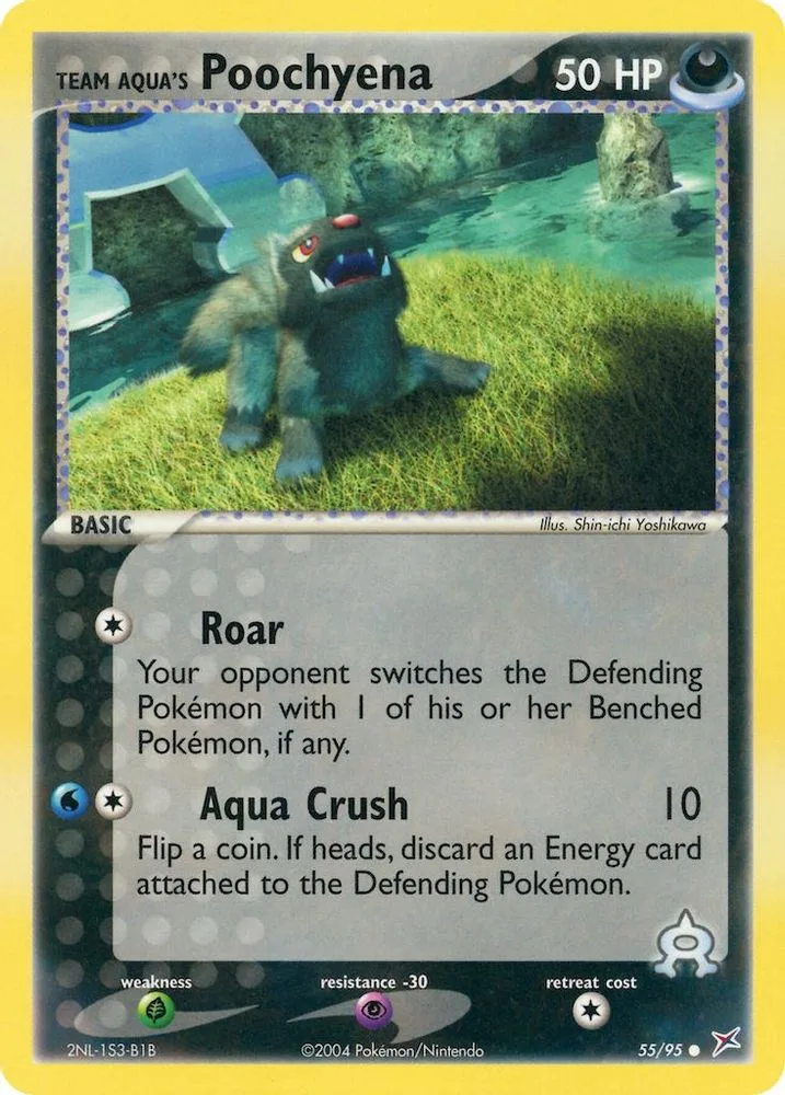 Team Aqua's Poochyena