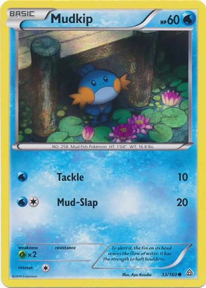 Mudkip (Sheen Holo)