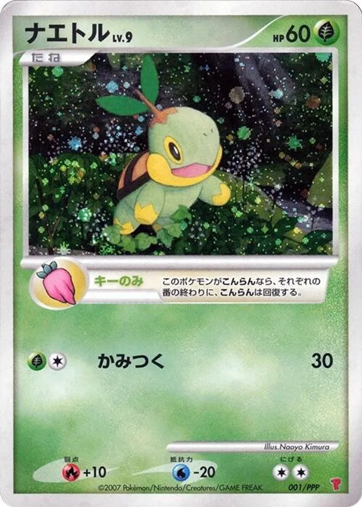 Turtwig