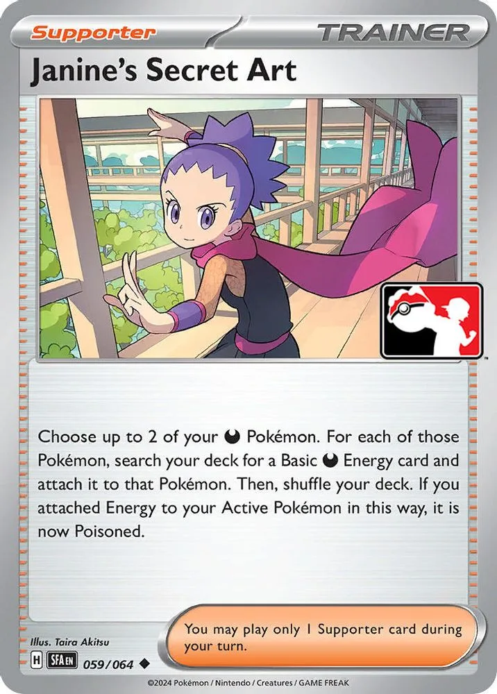 Janine's Secret Art (Janine's Secret Art)