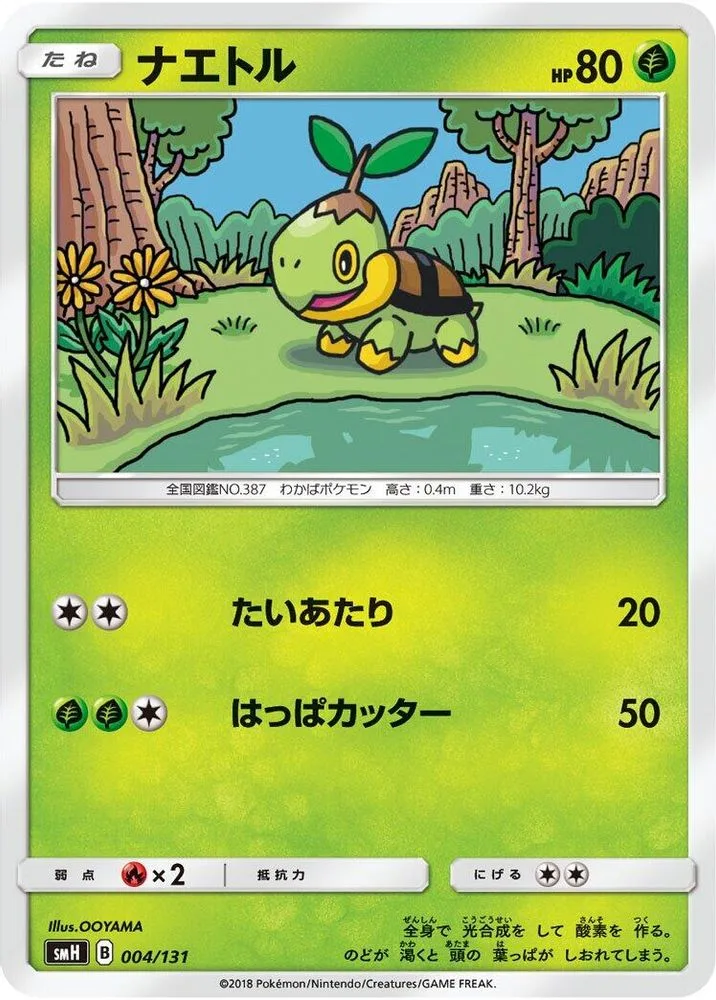 Turtwig