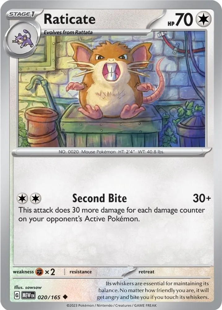 Raticate