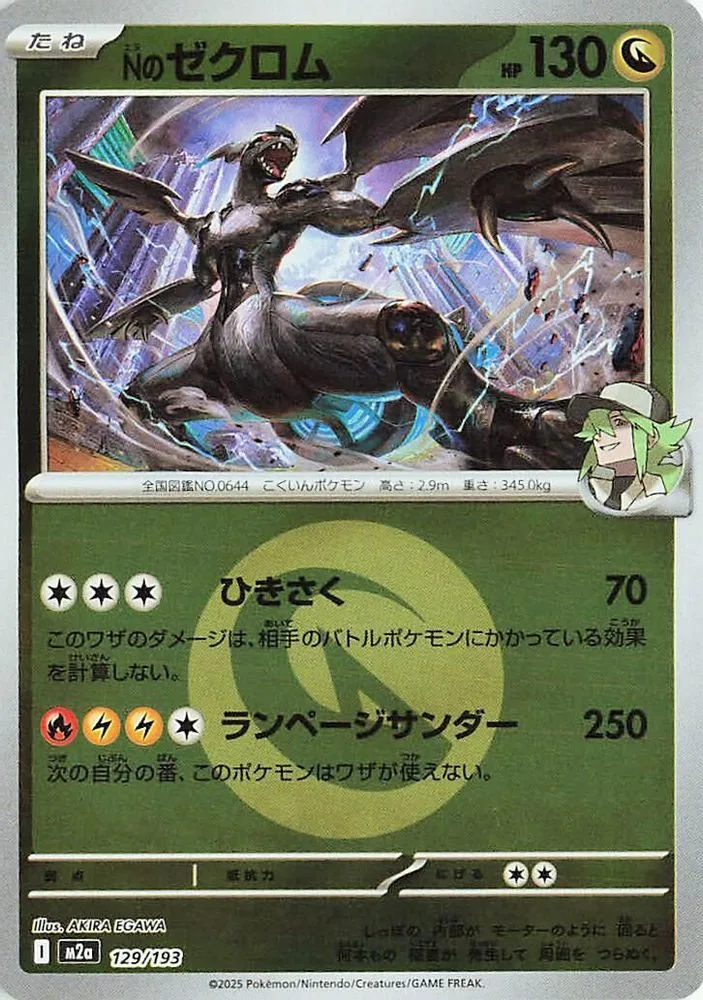 N's Zekrom (Energy Symbol Pattern)