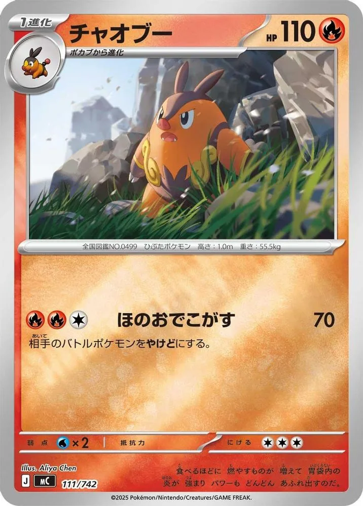 Pignite (Mirror Holo)
