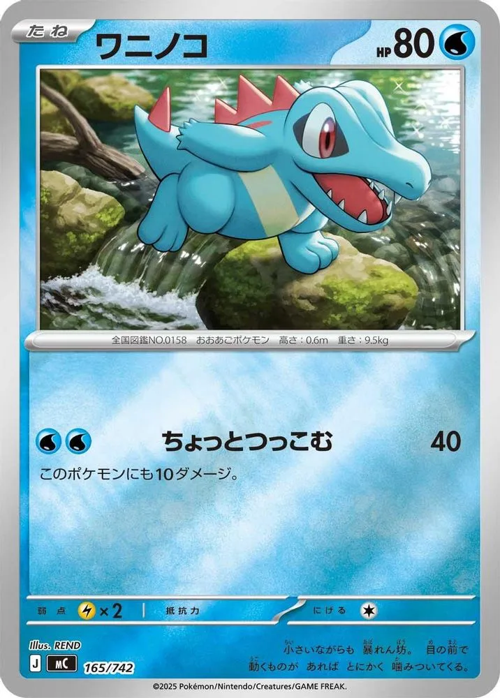 Totodile (Mirror Holo)