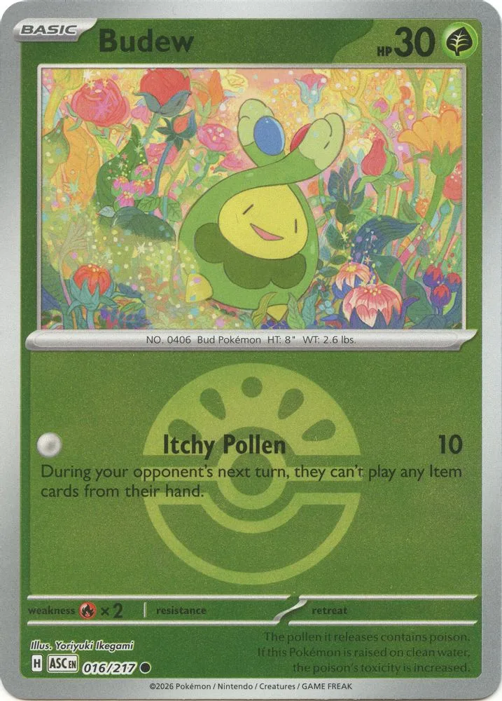 Budew (Friend Ball)
